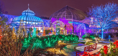 Sewickley Ridge Holiday lights