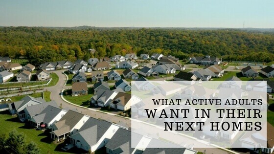 Drone shot of a traditions of america community