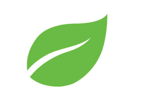 Green leaf icon