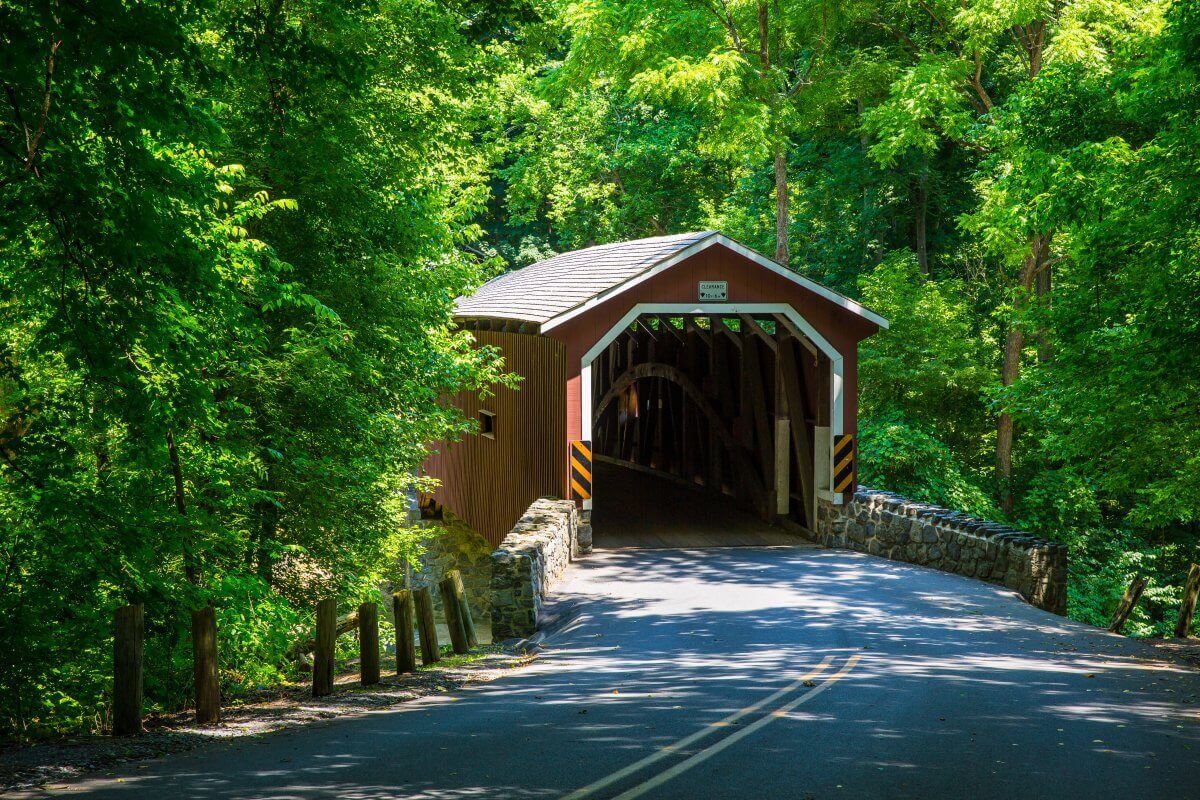 Covered bridge in a road through the woods
