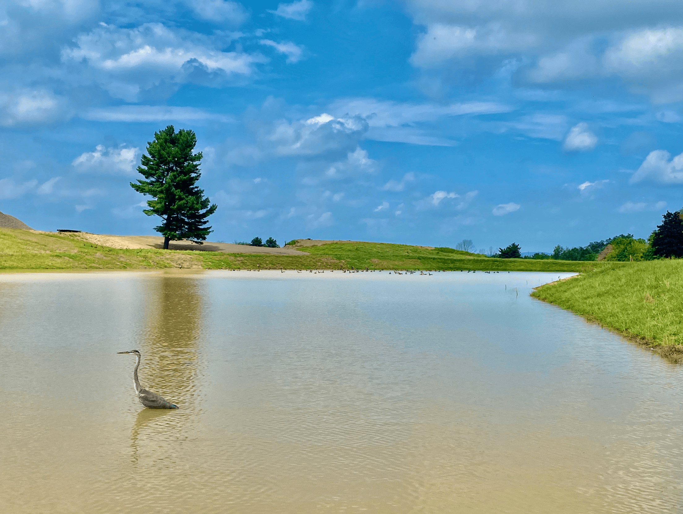 Locust Valley Active Adult Community Pond